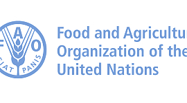 Food and Agriculture Organization (FAO)